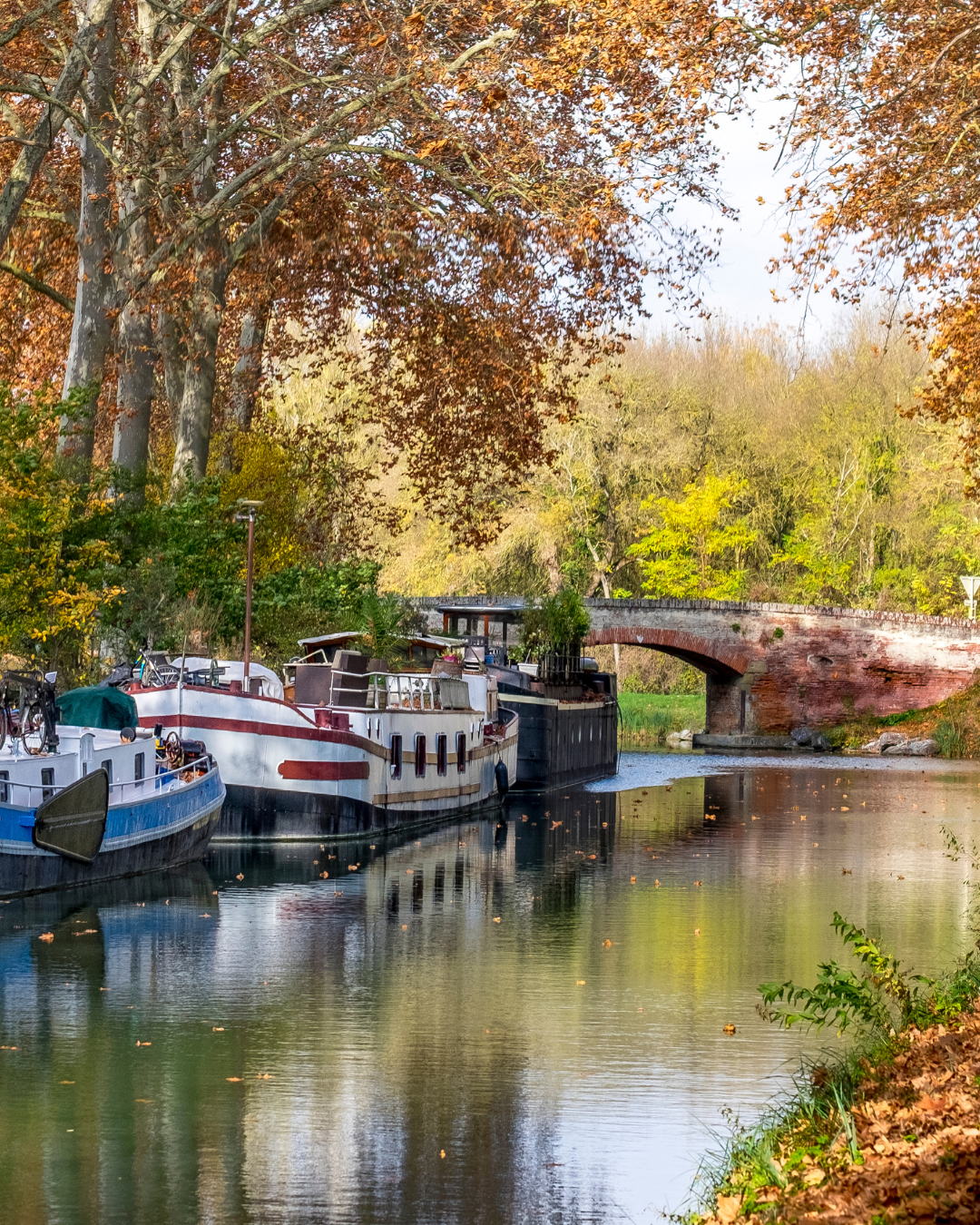 CANAL DU MIDI (2)