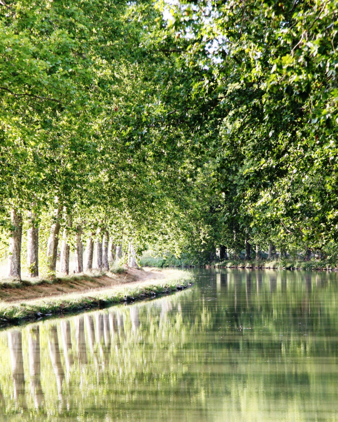 CANAL DU MIDI